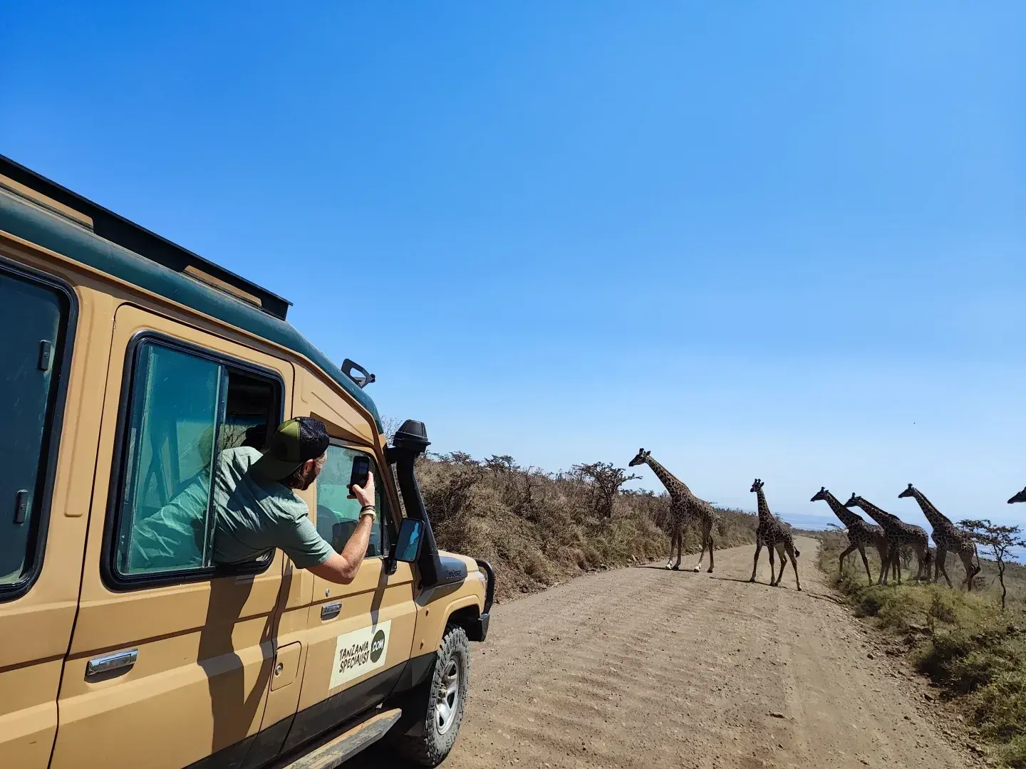 全天北部Safari