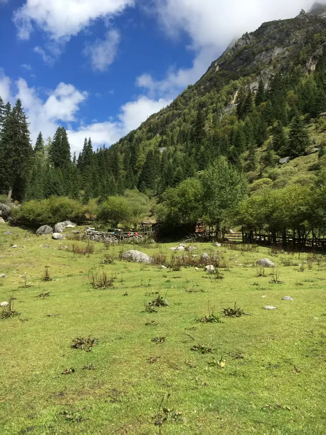 8.3日 成都至四姑娘山，全天游览双桥沟