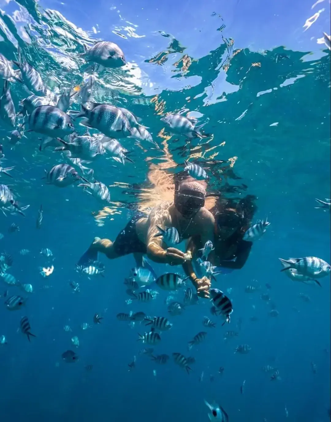 鹿岛水上三项运动之旅+双体船出海-海上BBQ