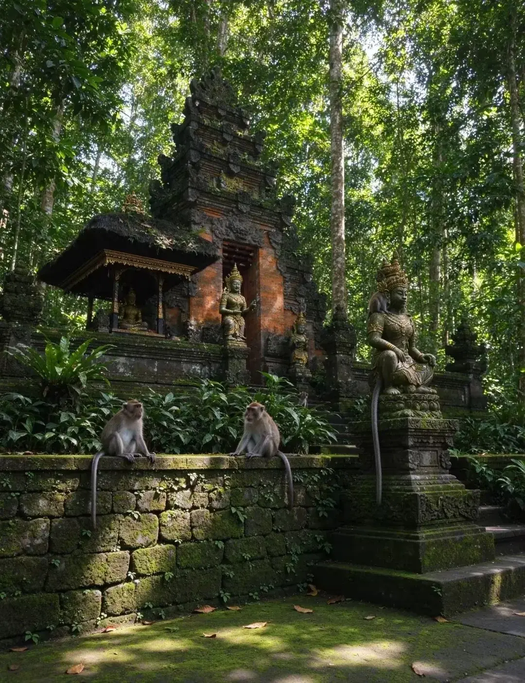退房后自由活动+根据航班时间送机回国