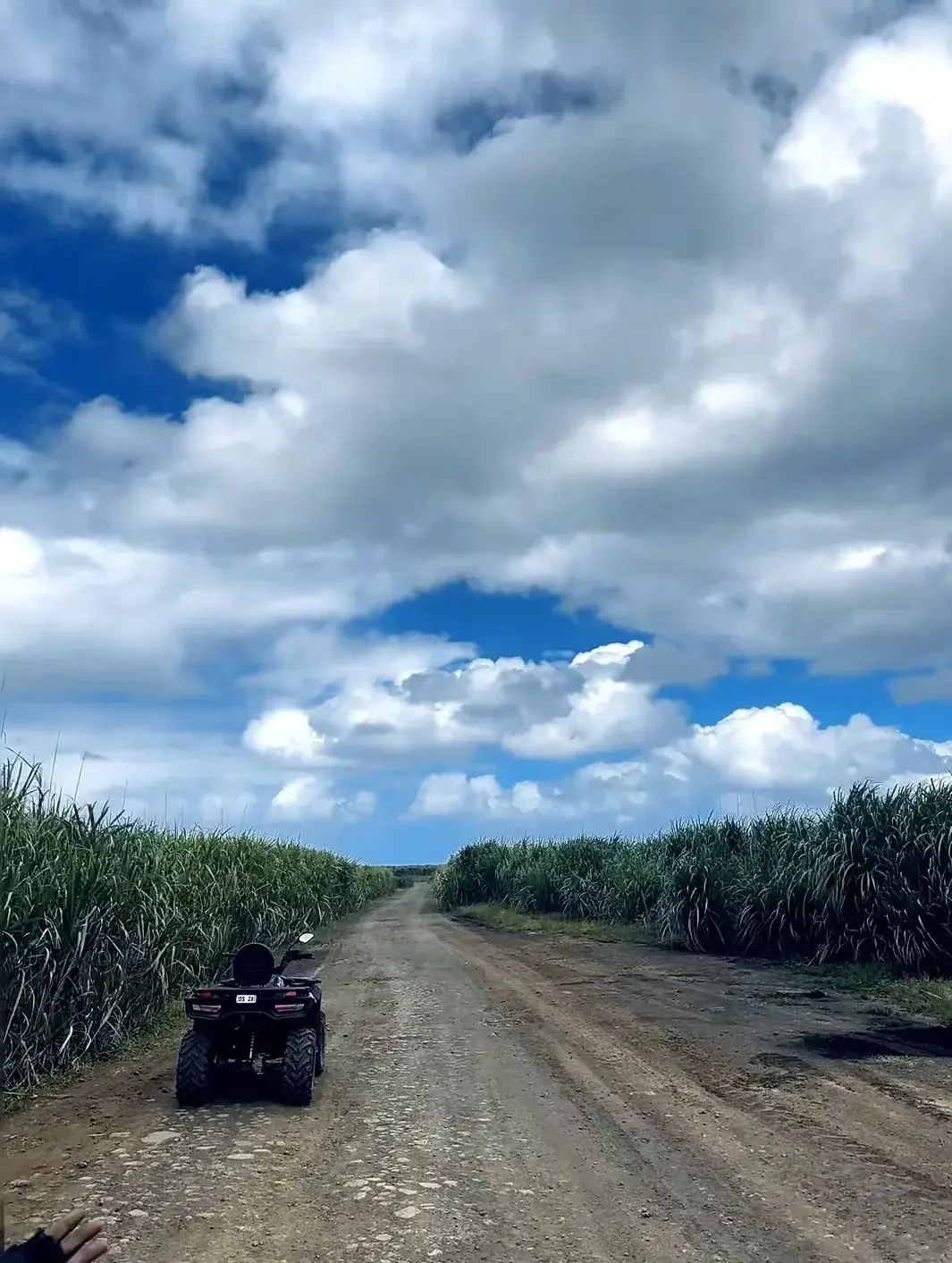 自然桥四驱车+蓝湾玻璃底船浮潜