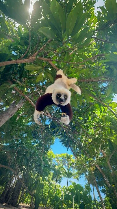 穆龙达瓦深度体验之旅