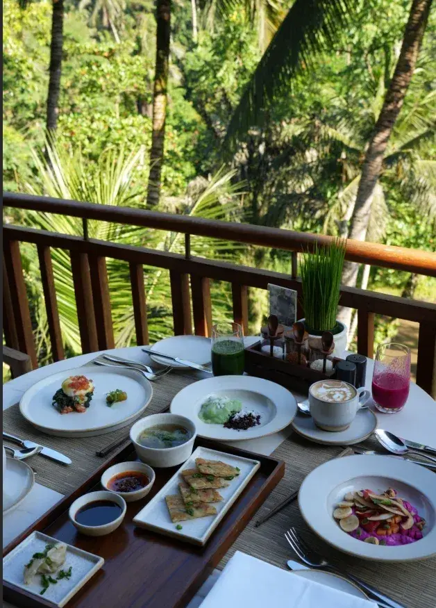 野生动物园 Safari Lion Package 万兽之王套餐