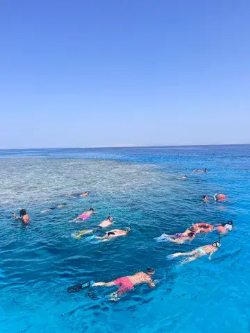 红海全天自由活动
