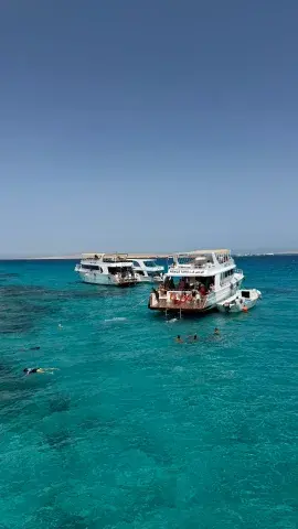 红海自由活动